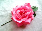 hair flower