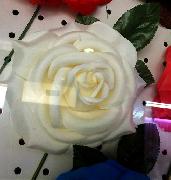 hair flower
